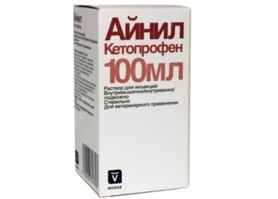 Важная информация про Айнил для кошек