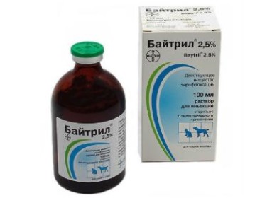 Лекарство Байтрил для кошек и способы его использования