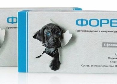 Почему специалисты рекомендуют Форвет для кошек?
