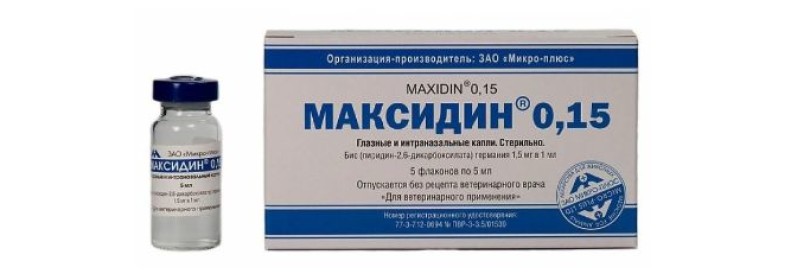Чем Максидин для кошек отличается от других препаратов?