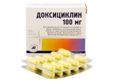 Почему нельзя использовать Доксициклин для кошек без консультации со специалистом?