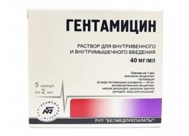 Прочтите, перед тем как делать укол Гентамицином кошке или коту!