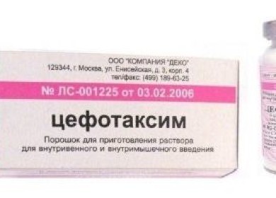 Прочтите, перед тем как использовать Цефотаксим для кошек!