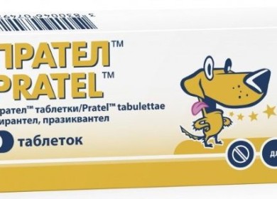 Можно ли использовать Прател для кошек?