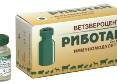 Насколько безопасен препарат Риботан для кошек и как делать инъекции?