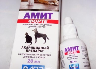 Всё, что необходимо знать про ушные капли для кошек Амит Форте!