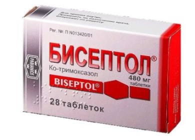 Про дозировку Бисептола для кошек и правила использования