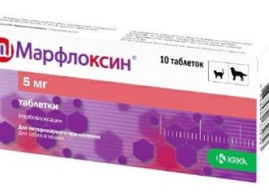 Прочтите, перед тем как использовать Марфлоксин для кошек!