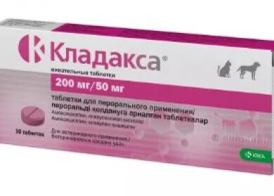 Можно ли использовать антибиотик Кладакса для кошек и от чего он помогает?