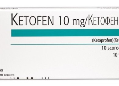 Подробно про Кетофен для кошек