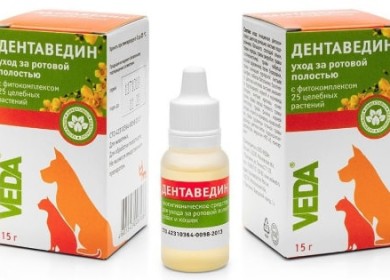 Подробная инструкция по применению средства Дентаведин для кошек и котят