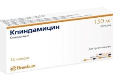 В каких случаях необходим Клиндамицин для кошек и как им лечат в ветеринарии?